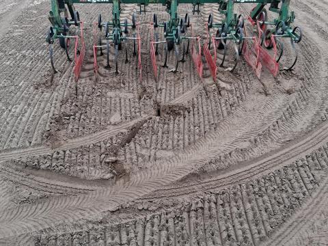 Regent 4 soros sorközművelő magas vázas sorvédőkkel kukorica napraforgó hoz is jó