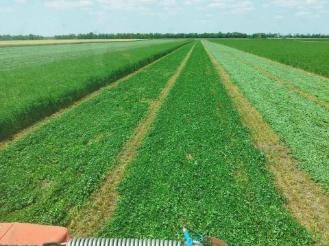 Mezőgazdasági gépi szolgáltatás