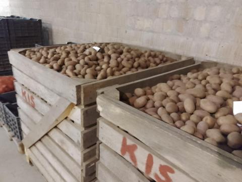 Malackrumpli eladó Malackrumpli eladó