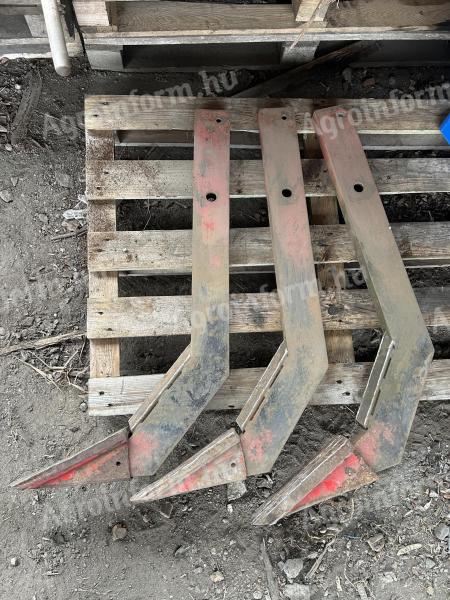 Kühne eke,  Lajta eke