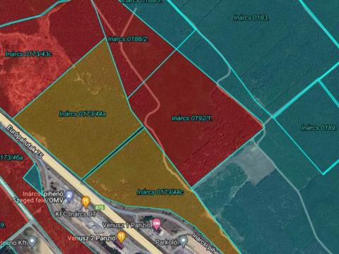 Eladó erdei fenyő és akác erdő földdel együtt Eladó erdei fenyő és akác erdő földdel együtt