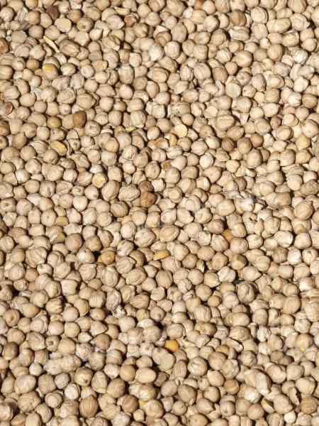 Bio csicseri borsó eladó