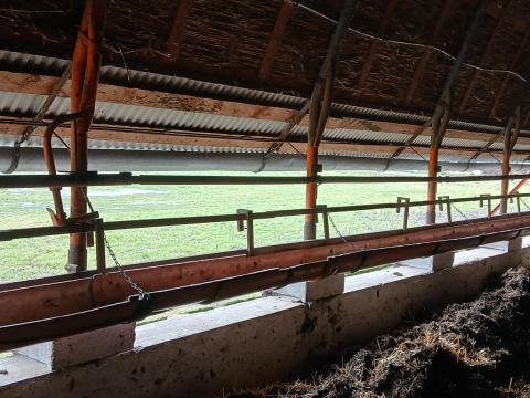 Szarvasmarha abrakoló eladó Szarvasmarha abrakoló eladó