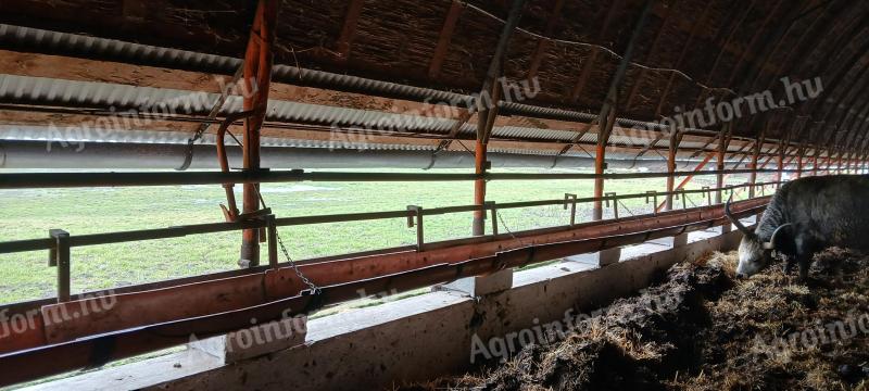 Szarvasmarha abrakoló eladó