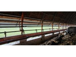 Szarvasmarha abrakoló eladó