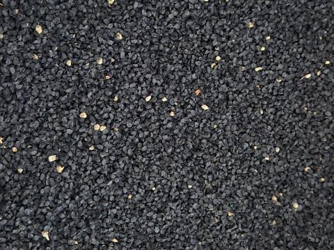 Vöröshagyma vetőmag – Magyar Vitéz fajta Vöröshagyma vetőmag – Magyar Vitéz fajta