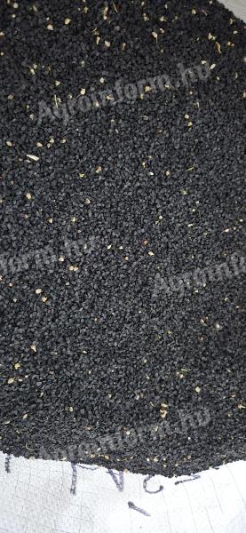 Vöröshagyma vetőmag – Magyar Vitéz fajta