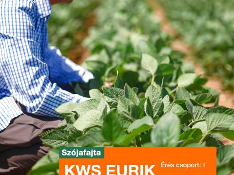 KWS EURIK (I éréscsoport) szója vetőmag