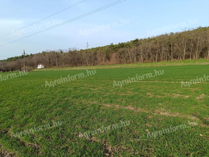 Eladó szántó Sopron határában