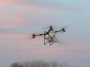 Műtrágya szórás DJI Agras T100 drónnal