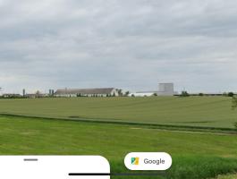 Mezőkomárom működő sertéstelep