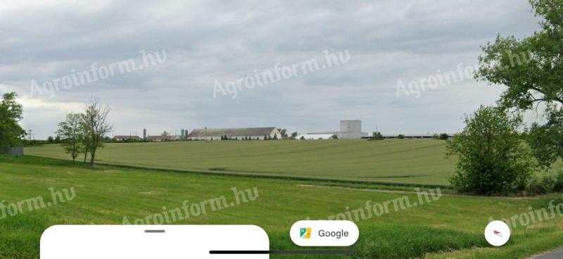 Mezőkomárom működő sertéstelep