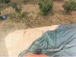 Szalma hálós körbála kapható