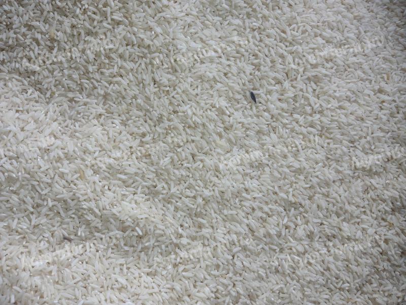 Rizs takarmány minőségben