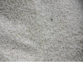 Rizs takarmány minőségben