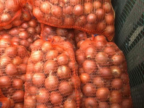 Vöröshagyma eladó Vöröshagyma eladó