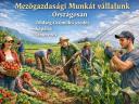 Mezőgazdasági munkát vállalunk tapasztalt csapattal
