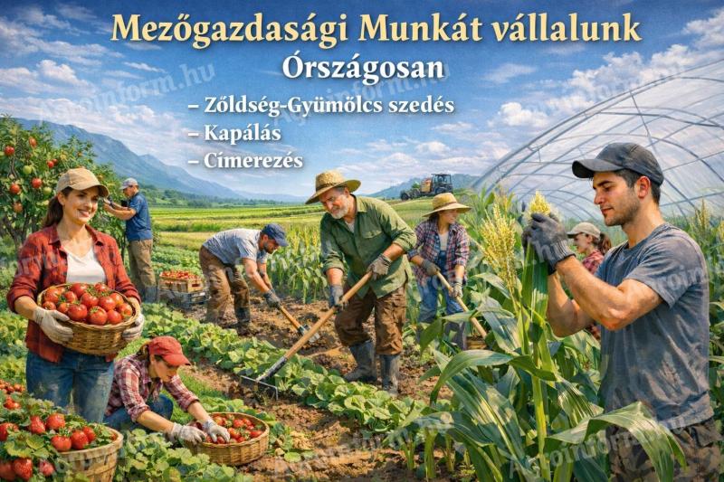 Mezőgazdasági munkát vállalunk tapasztalt csapattal