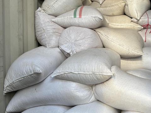 Takarmány kukorica eladó 40 kg-os zsákokban Takarmány kukorica eladó 40 kg-os zsákokban