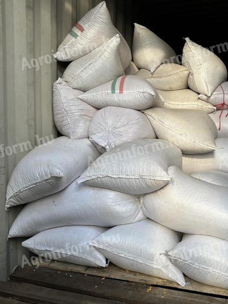 Takarmány kukorica eladó 40 kg-os zsákokban