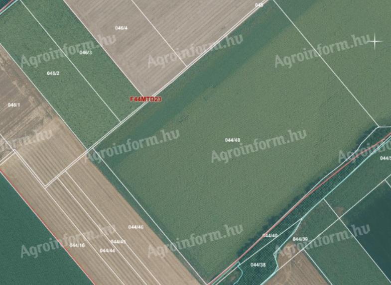 Termőföld 0,5 hektár (osztatlan közös 20 hektárban)