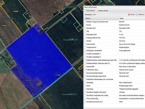 Kisszálláson 35 hektáros akácos-hazai nyáras erdő eladó Kisszálláson 35 hektáros akácos-hazai nyáras erdő eladó