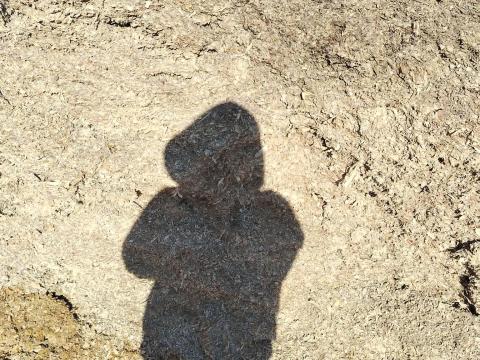 Eladó kukorica siló Eladó kukorica siló