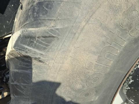 Mtz gumi Taurus Mtz gumi Taurus