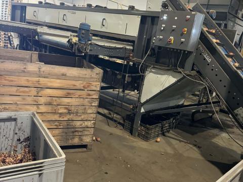 ProVEGA hagyma tisztító, osztályozó gépsor kompletten eladó