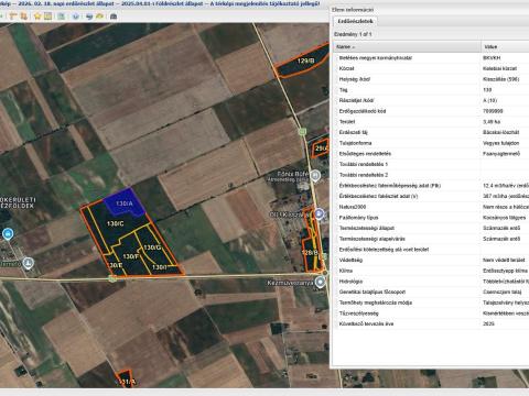 Kisszálláson 13 hektáros kocsányos tölgyes eladó