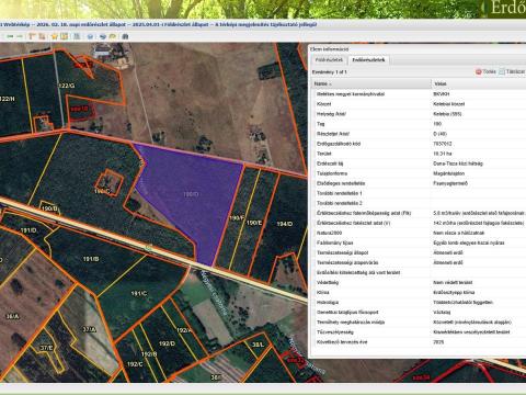 10 hektáros hazai nyáras Kelebia-Kisszállás határában, főút mellett 10 hektáros hazai nyáras Kelebia-Kisszállás határában, főút mellett