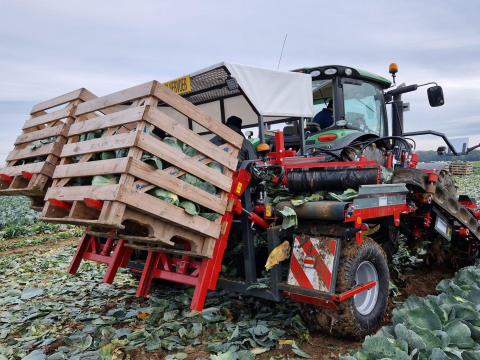 Vanhoucke Vitus Brassica Storage – Káposztabetakarítók rövid szállítási határidővel