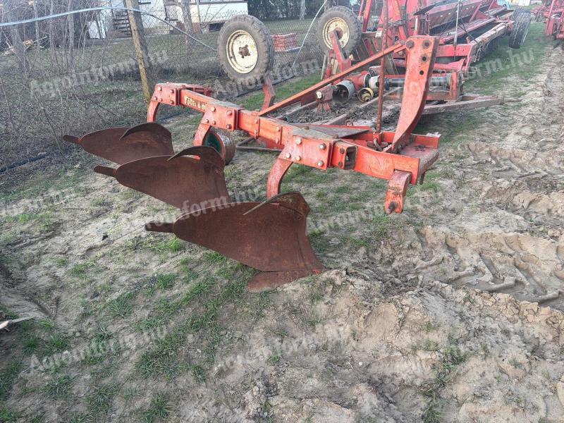 Vogel noot 3 fejes eke