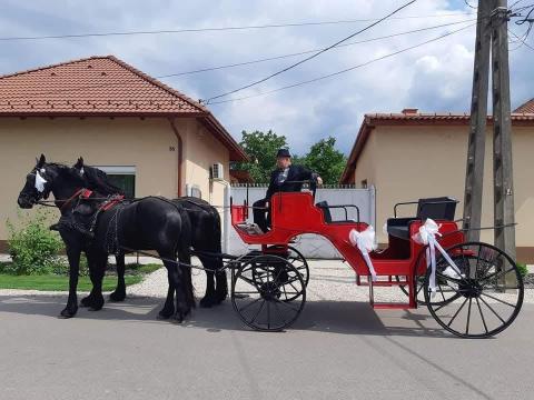 Egyedi hintó eladó Egyedi hintó eladó