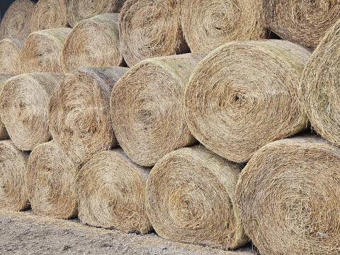 Lucernabála eladó Lucernabála eladó