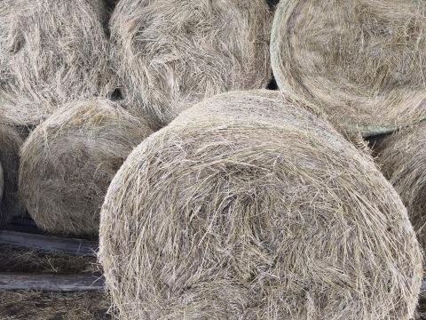 Széna körbála eladó Széna körbála eladó