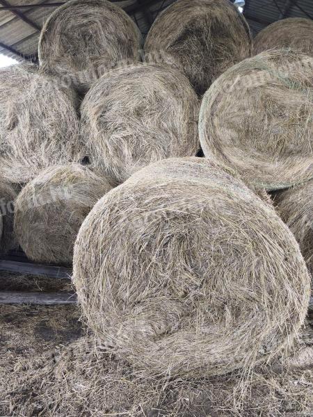 Széna körbála eladó