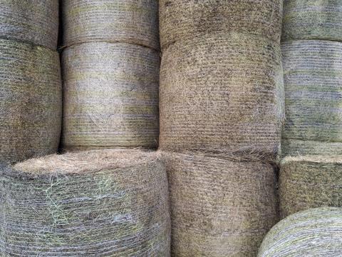 Széna eladó Széna eladó