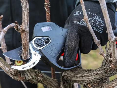 ZANON ZM 34 – Professzionális akkus metszőolló ZANON ZM 34 – Professzionális akkus metszőolló