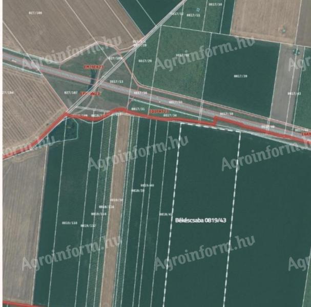 Eladó szántóföld Békéscsabán, Felsőnyomáson