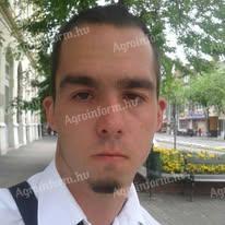 Németországban állatgondozó állást keresek szállással