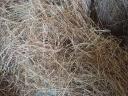 Nagy mennyiségű széna