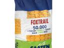 FOXTRAIL (FAO 360) középkorai kukorica vetőmag