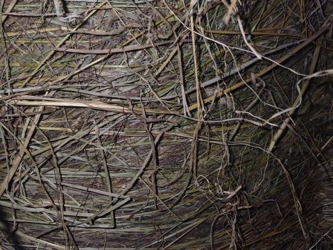 Nagy mennyiségű széna