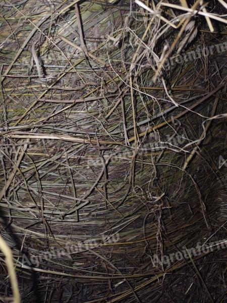 Nagy mennyiségű széna