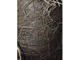 Nagy mennyiségű széna