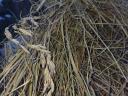 Nagy mennyiségű széna