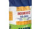 INDEM1012 (FAO 410) középérésű kukorica vetőmag