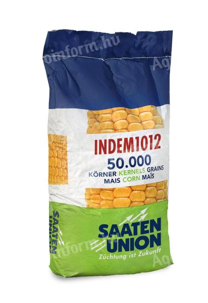 INDEM1012 (FAO 410) középérésű kukorica vetőmag