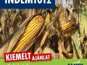 INDEM1012 (FAO 410) középérésű kukorica vetőmag